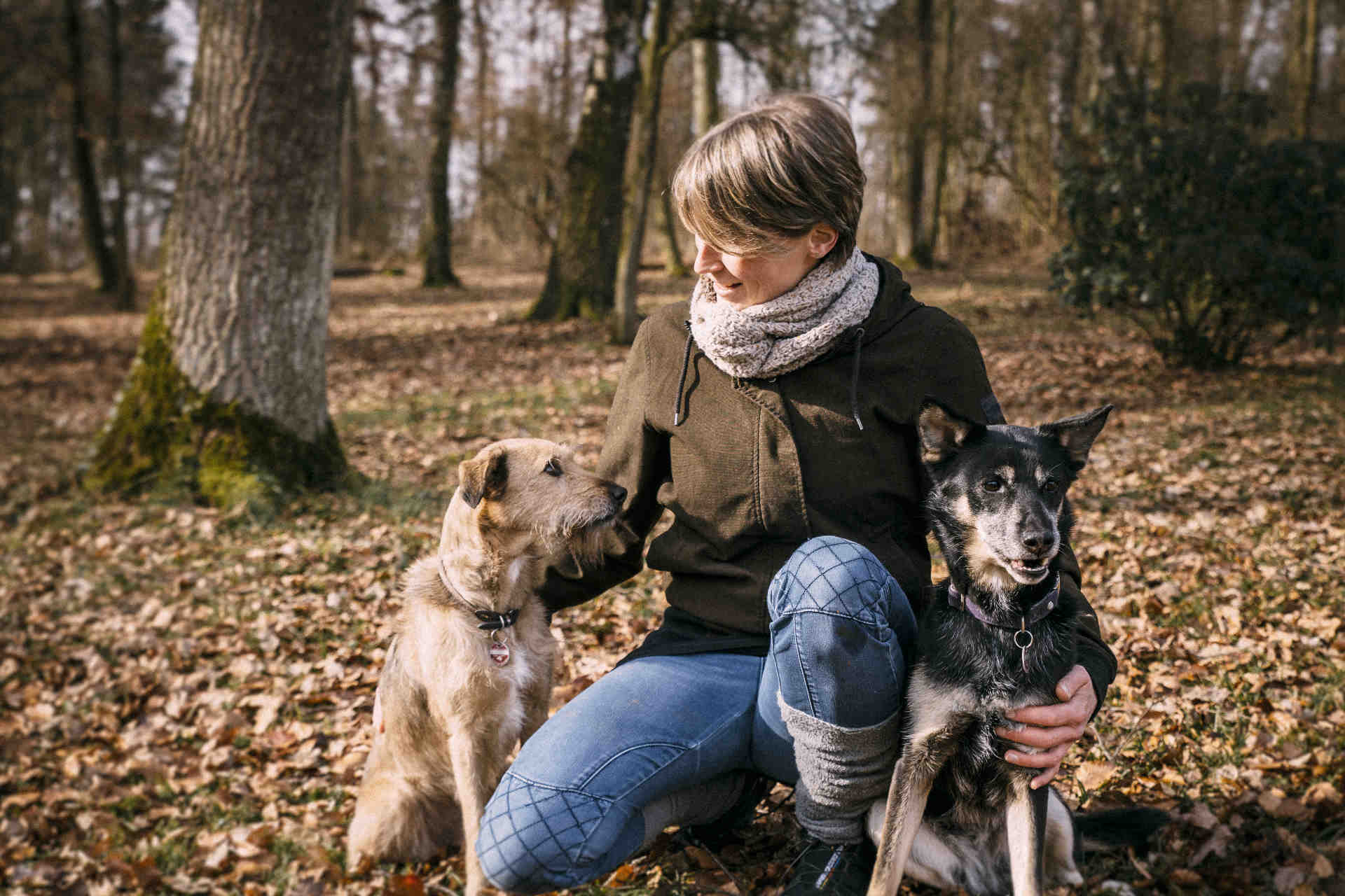 Hundetraining im Wald mit Constanze Jaekel